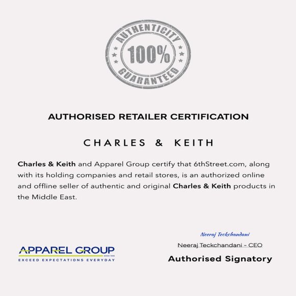 Charles & Keith Ivy Top Handle Mini Bag - Brand NEW! - Picture 7 of 7